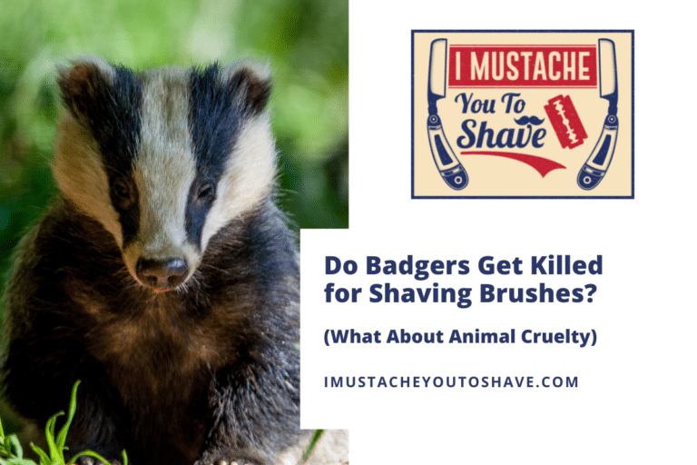 Do Badgers Get Killed for Shaving Brushes? (What About Animal Cruelty)