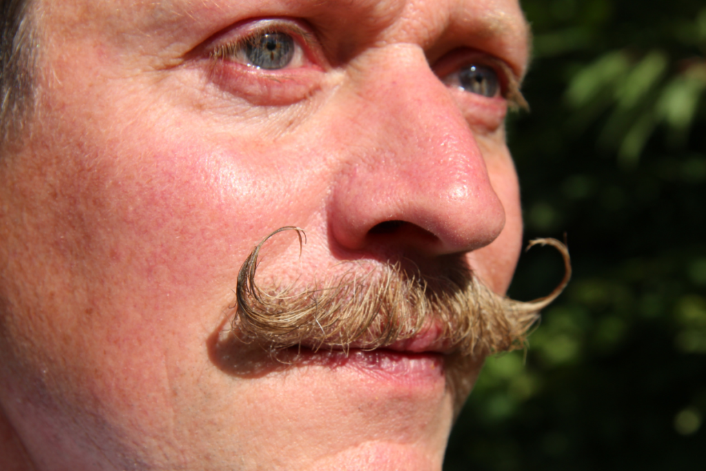 The cool-again handlebar mustache is easily identifiable by its long, upturned ends.
